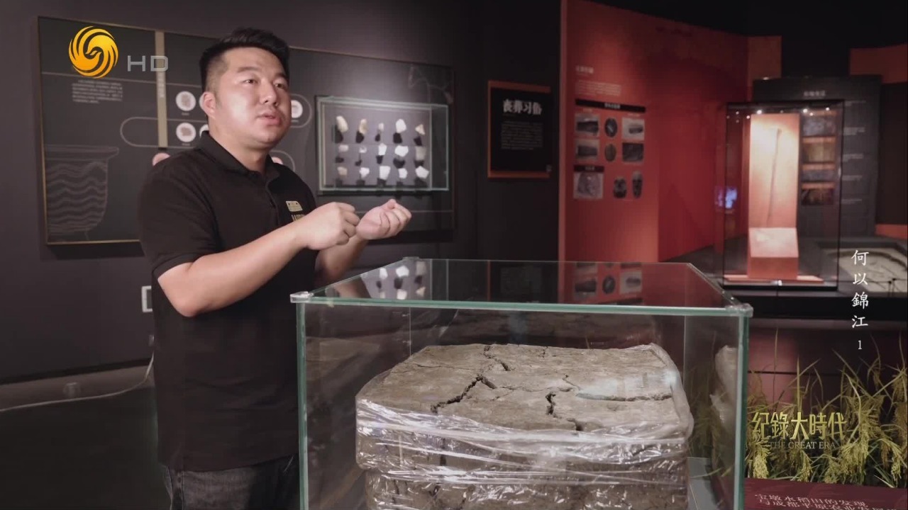 宝墩古城遗址上的排水沟以及防洪堤遗存，都是古蜀先民与水抗争的见证