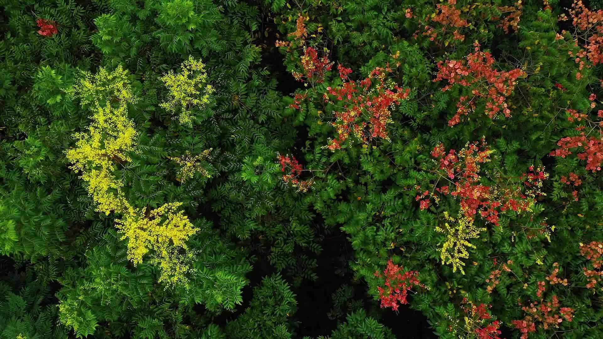 今日秋分：愿君耕耘皆有收获