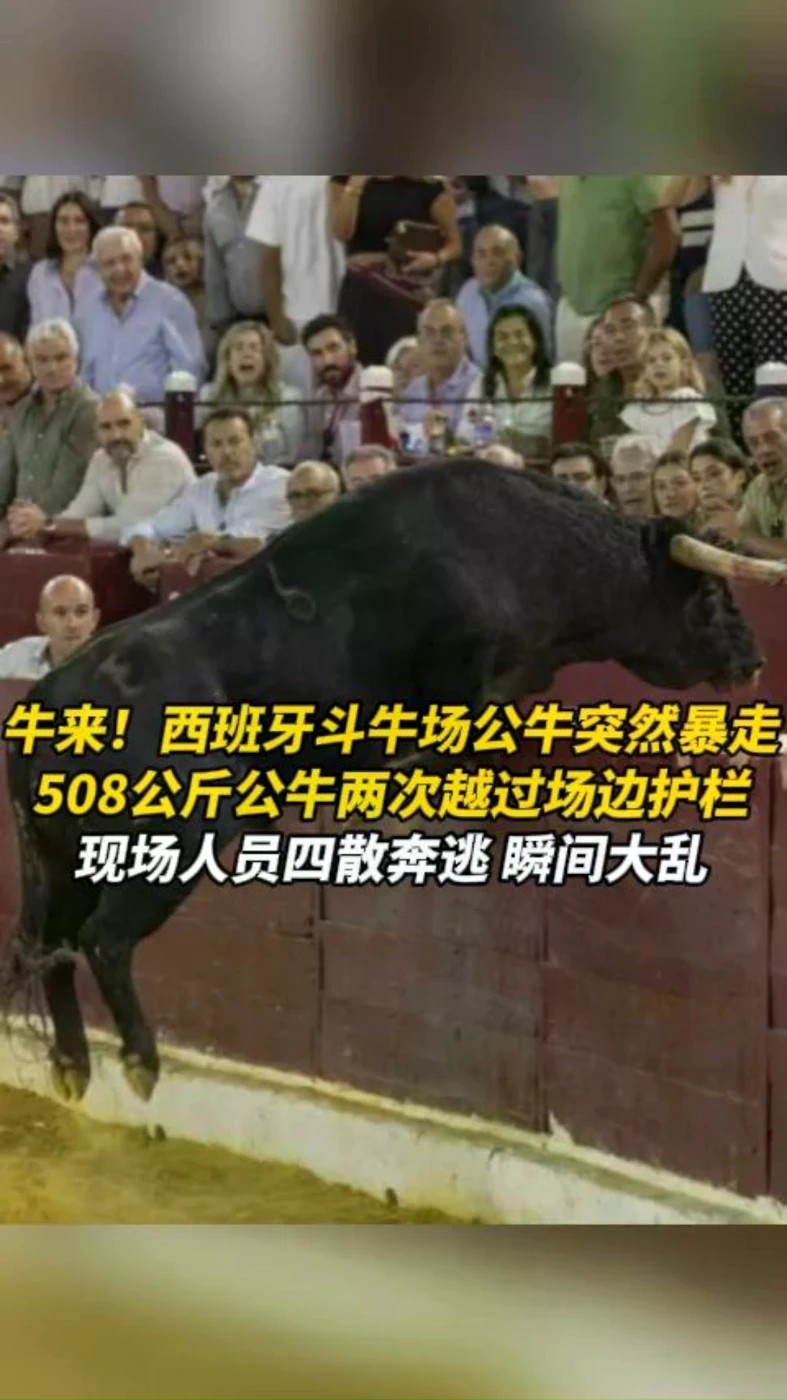 牛来！西班牙斗牛场公牛突然暴走