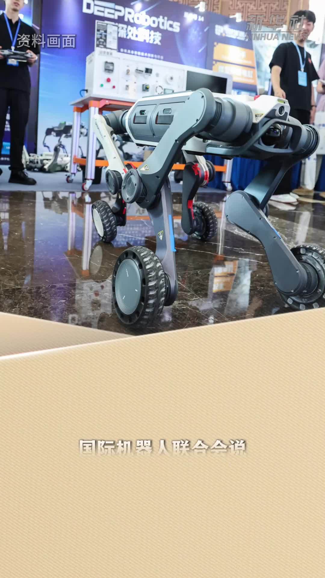 新华读报丨报告显示：中国巩固工业机器人领头羊地位