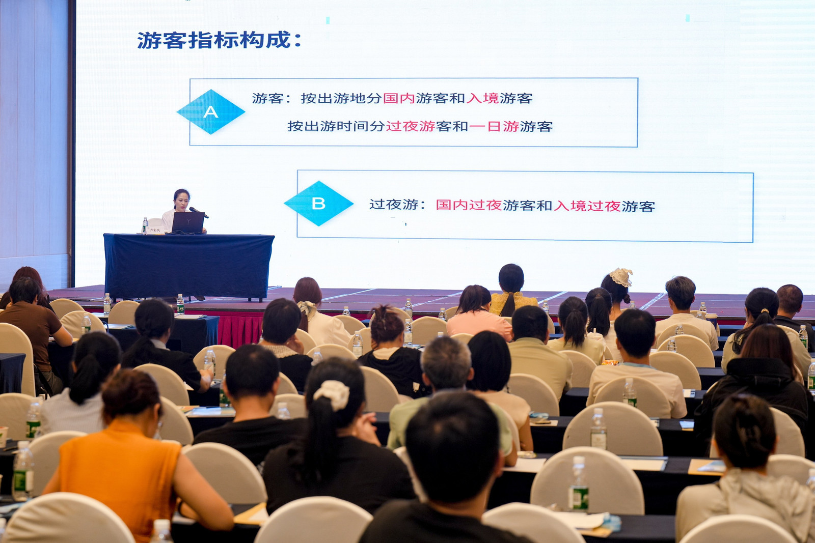 2026年三亚市旅文行业普法暨旅游统计培训班(第二期)开班