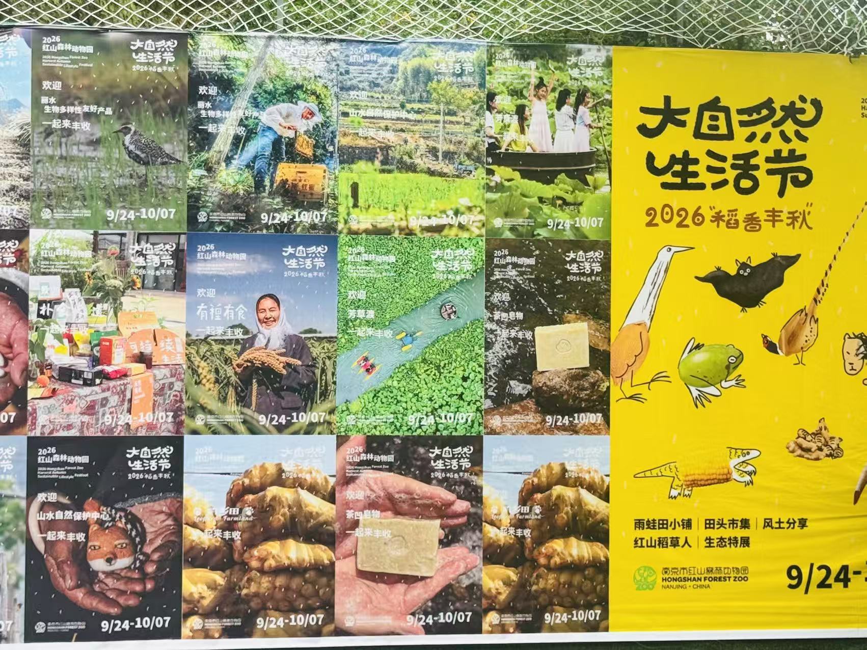 2026“稻香丰秋”大自然生活节在宁启幕