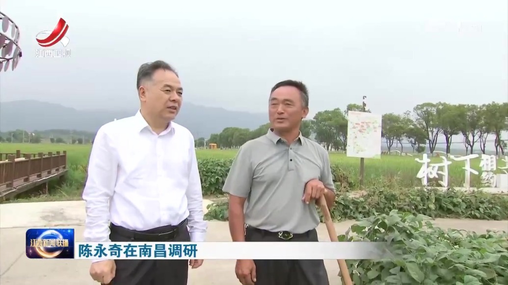 陈永奇在南昌调研