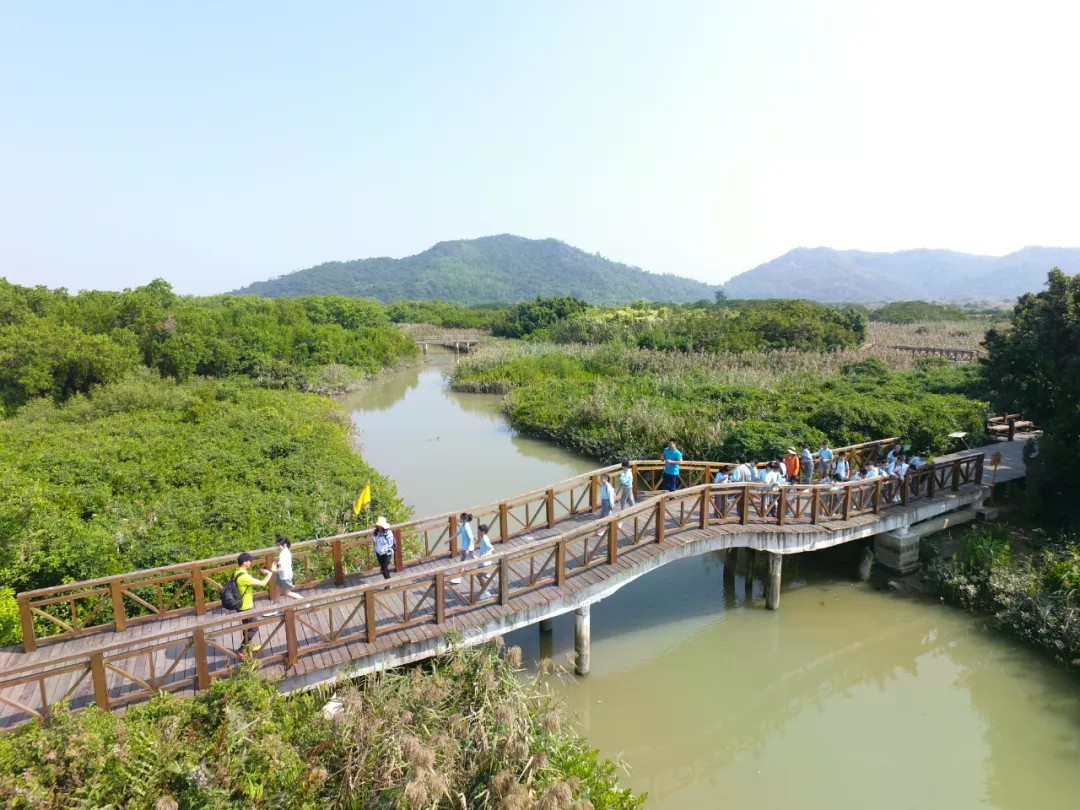 9月25日起 广东珠海淇澳-担杆岛省级自然保护区恢复开放