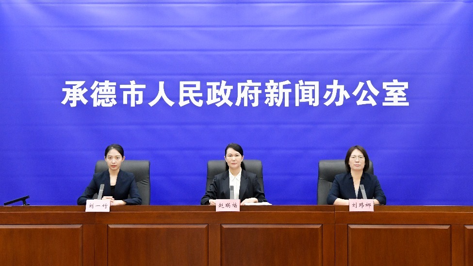 发布会 王占平摄
