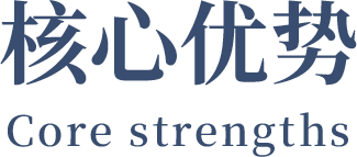 核心优势