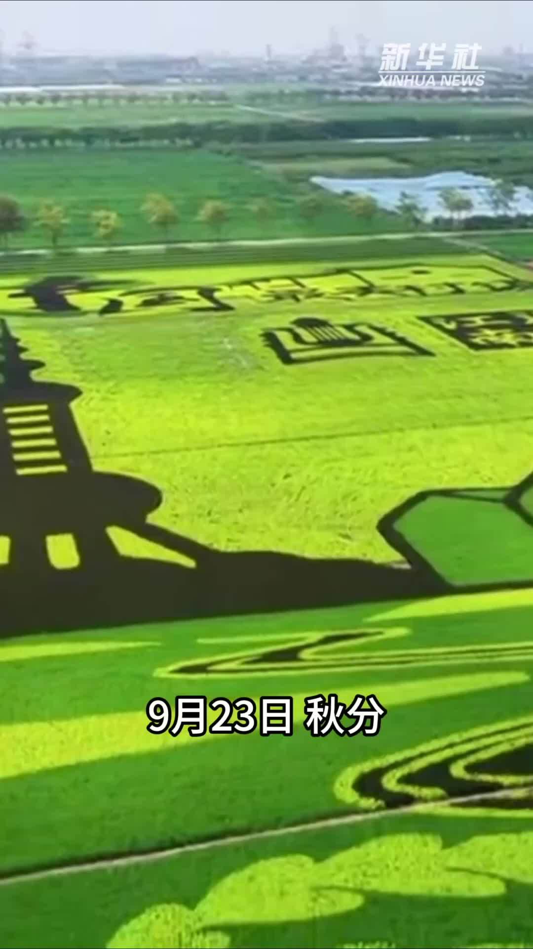 “邪修”咖啡，喝出丰收新滋味