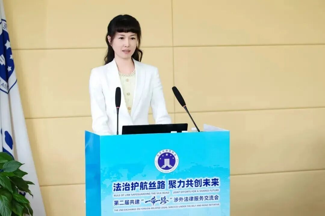 图为专委会副主任委员宋爽发言