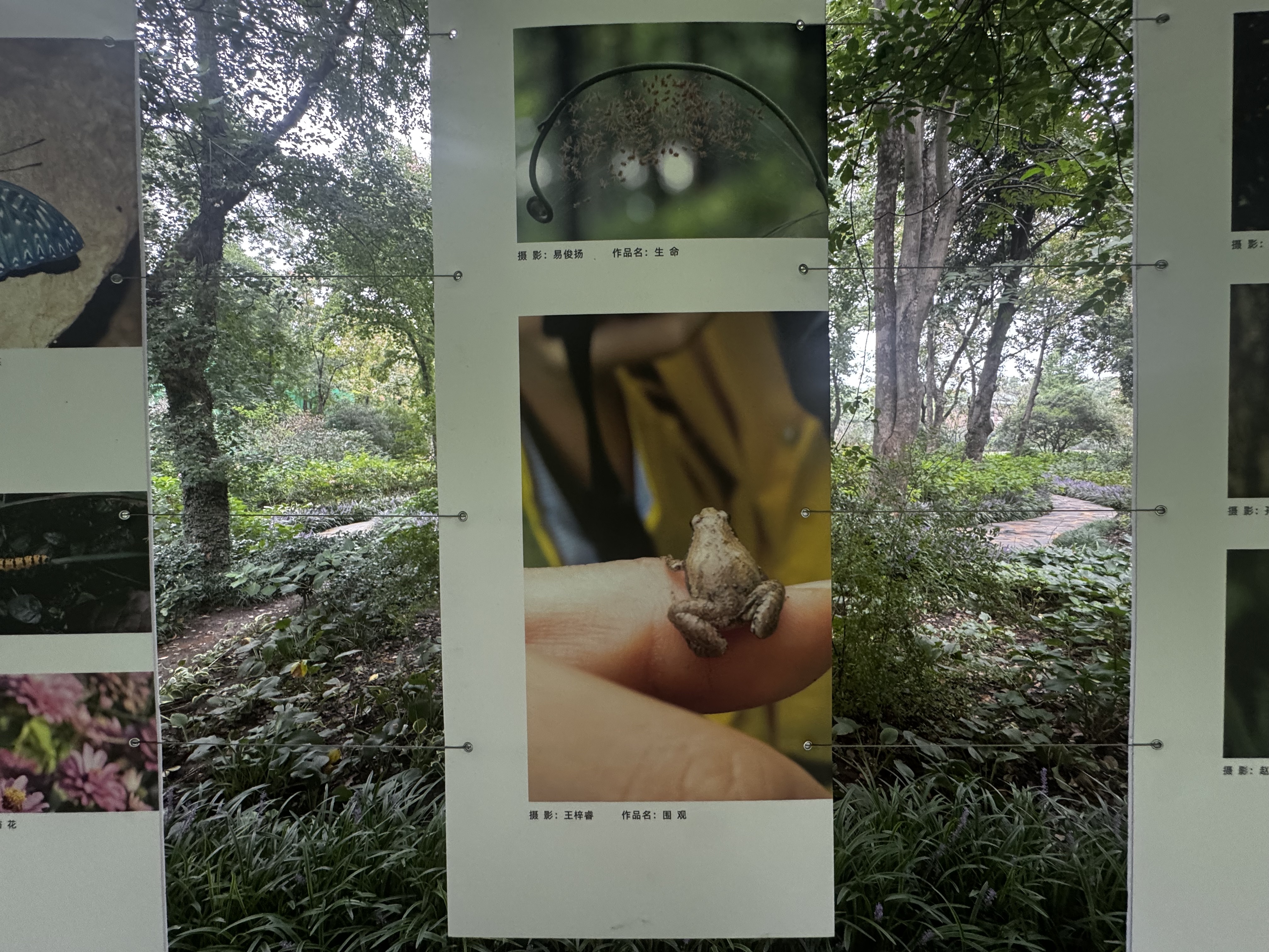 南京中山植物园四大主题展览启幕,共享科学盛宴