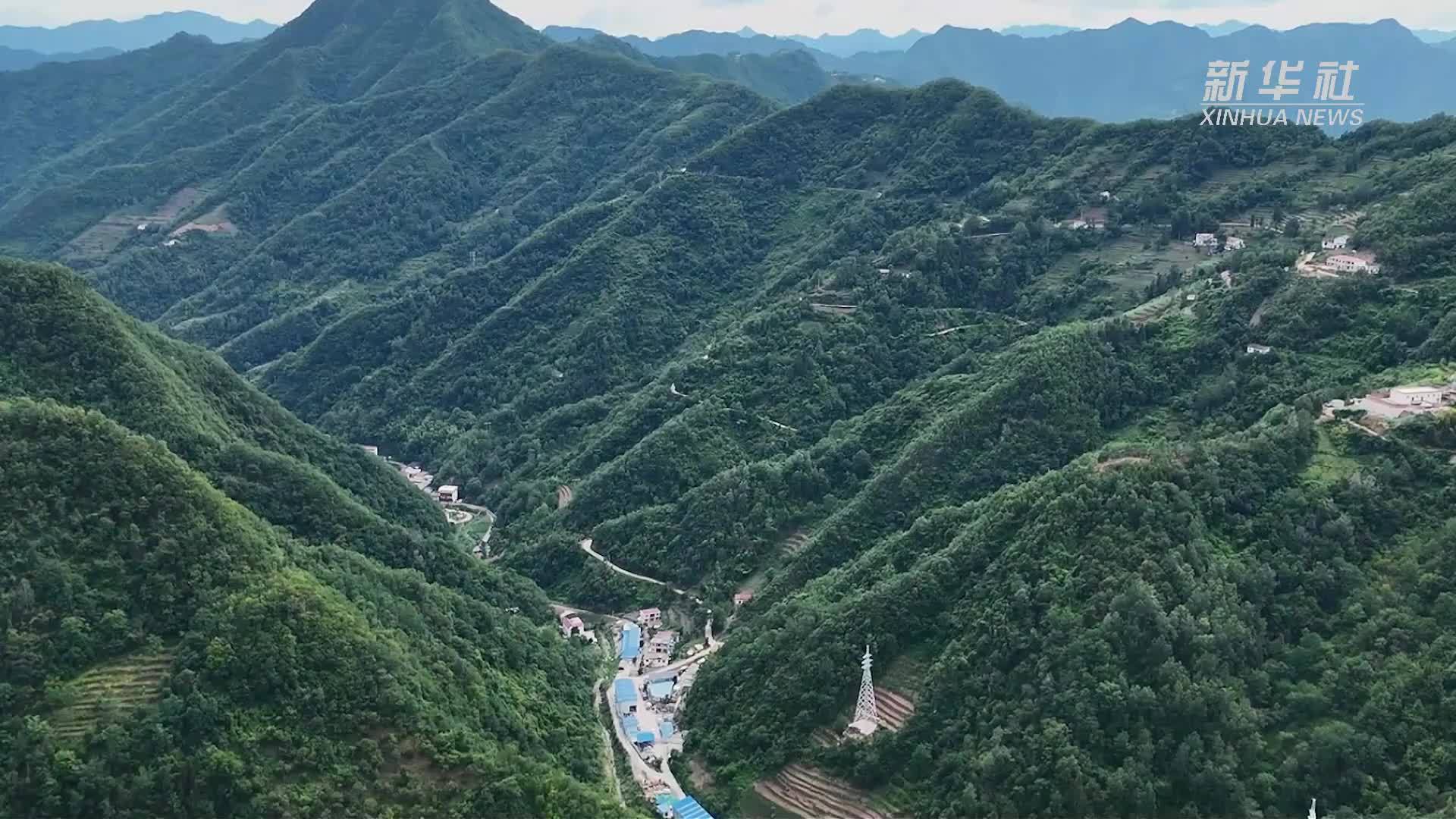 西康高铁：弃渣“复绿”不让青山“留疤痕”