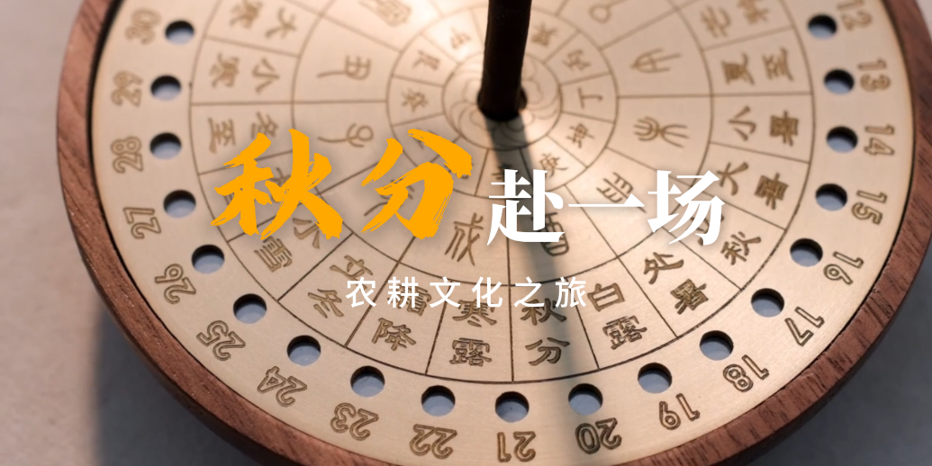 秋分，赴一场时间与土地的约