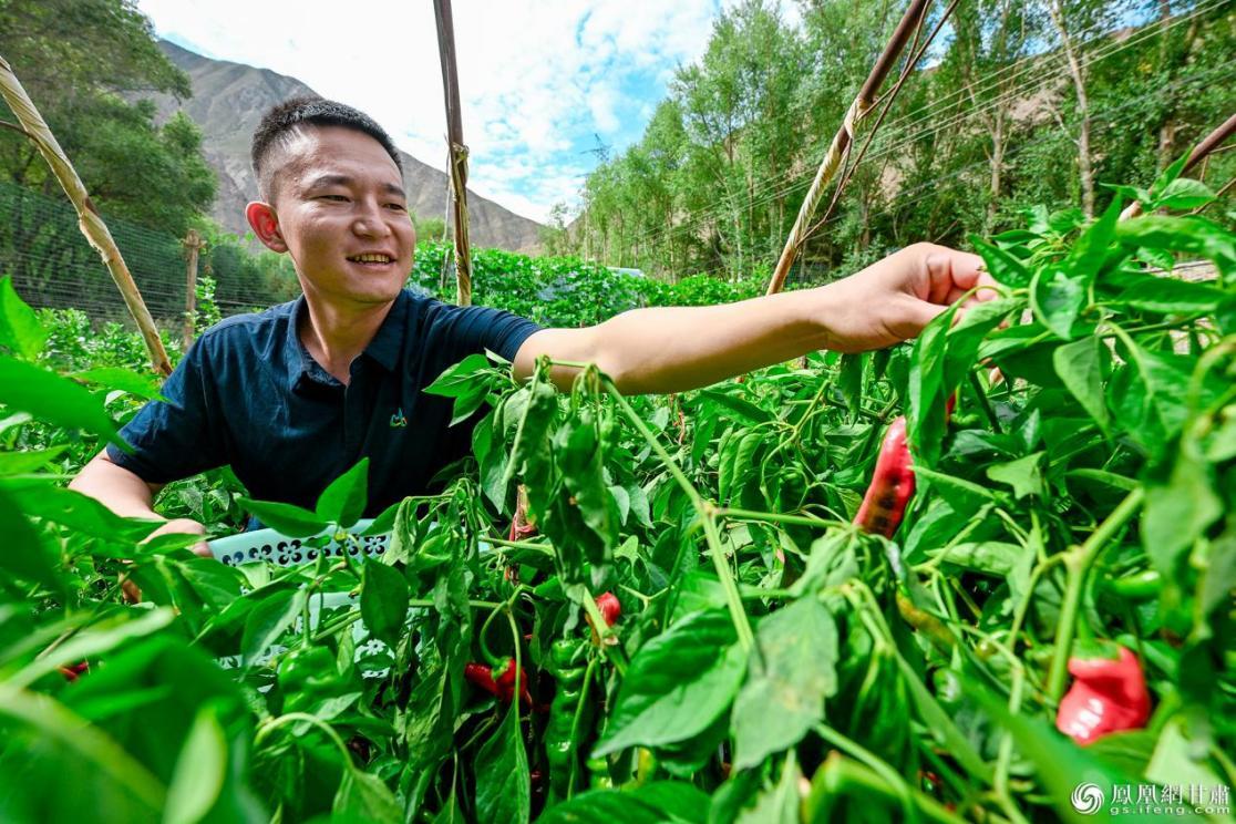 管护站的小菜园不仅能改善护林员伙食，也能缓解他们的思家之苦。李德宇　摄