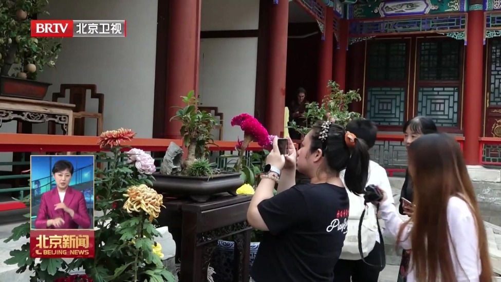 114.2万人次游客参与百余项中秋游园活动