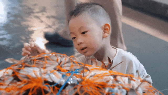 640..gif