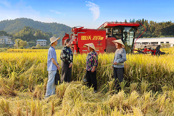 江西省萍乡市安源区纪检监察干部在青山镇温盘村走访了解高标准农田建设有关情况。邓建萍 摄