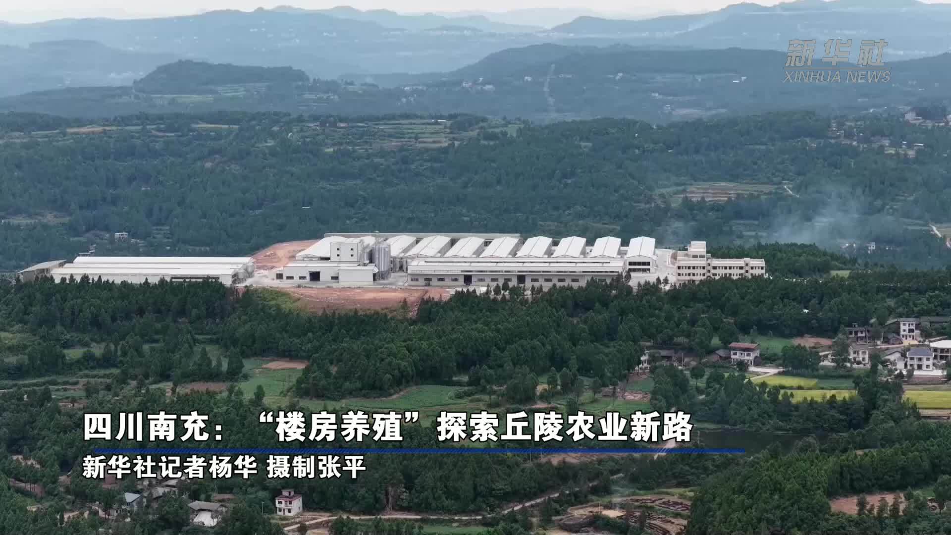 四川南充：“楼房养殖”探索丘陵农业新路