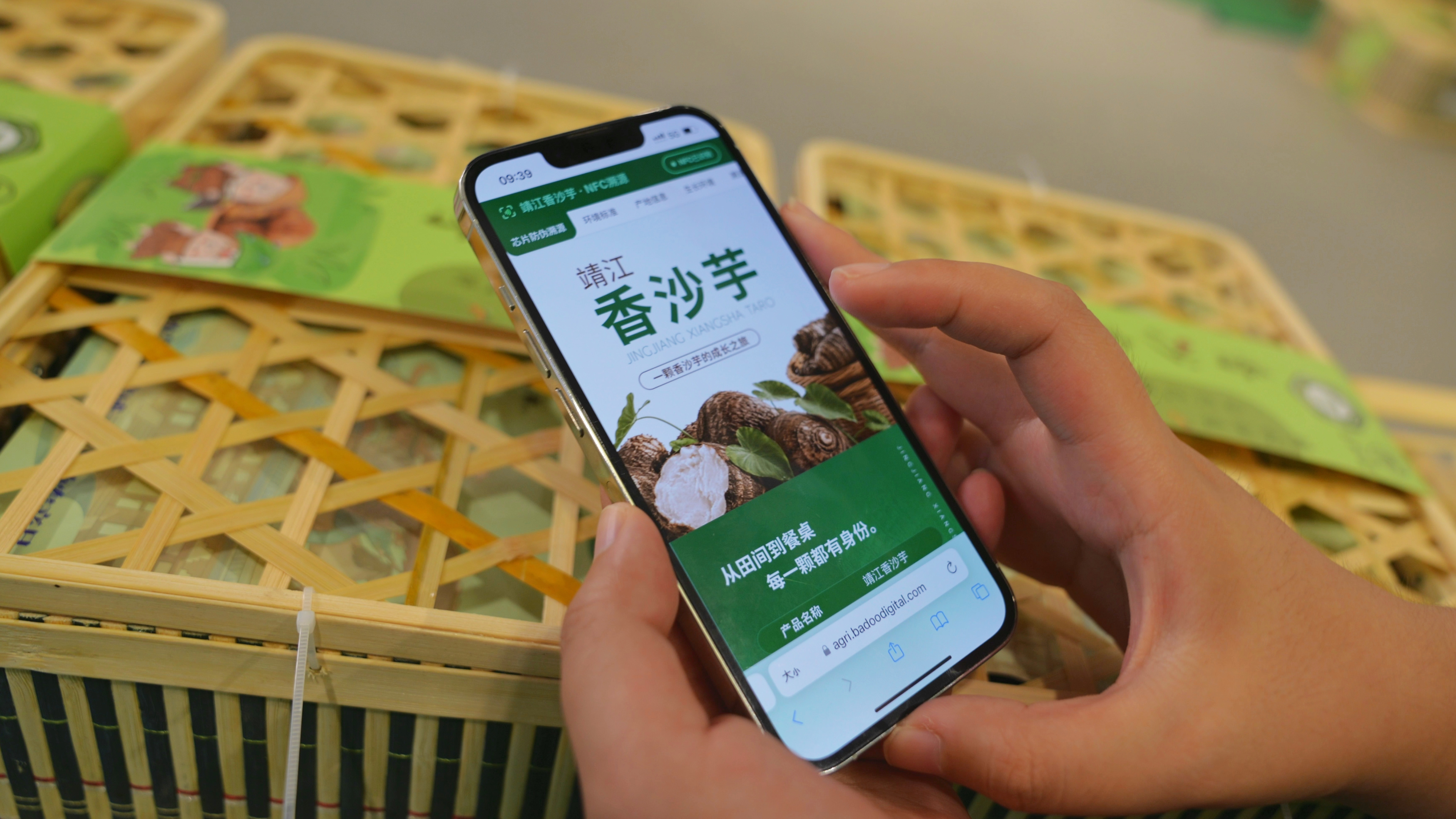 图为消费者查询靖江香沙芋溯源信息。