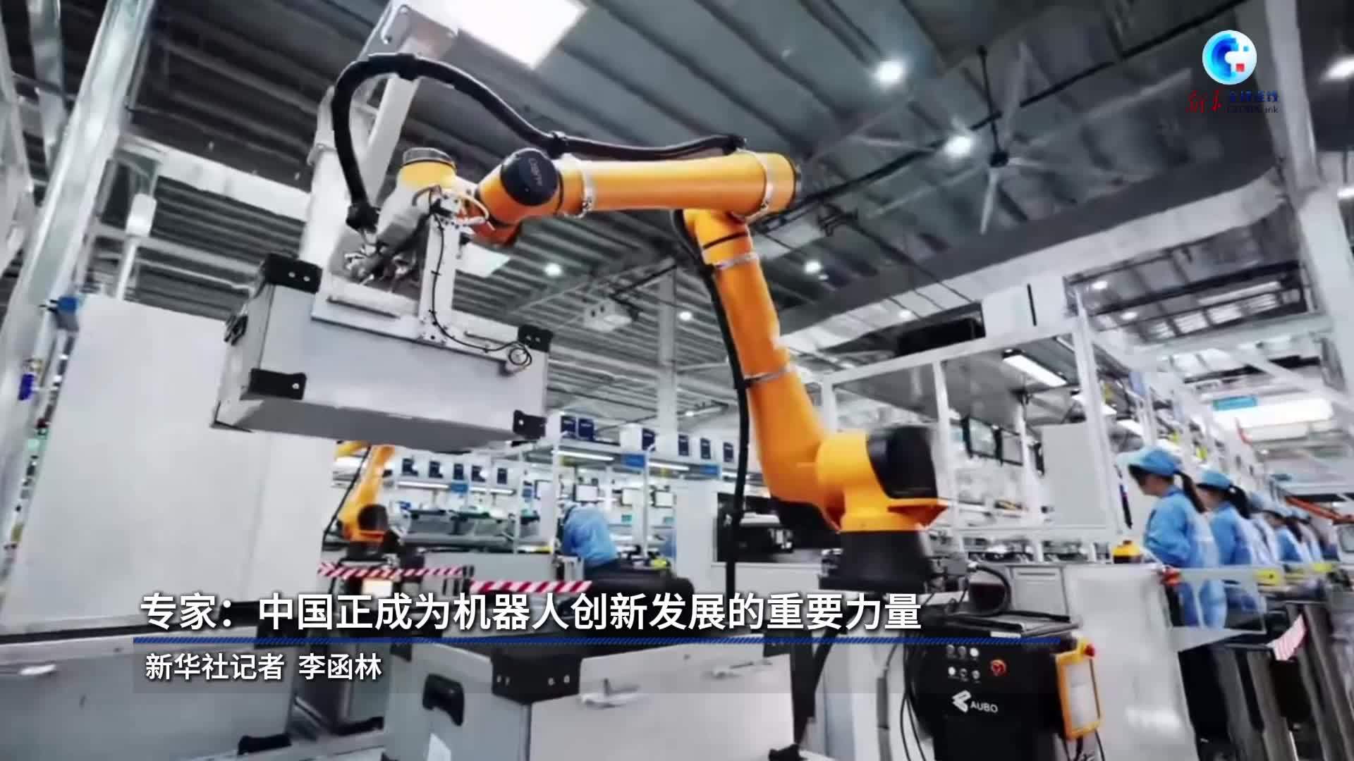 全球连线｜专家：中国正成为机器人创新发展的重要力量