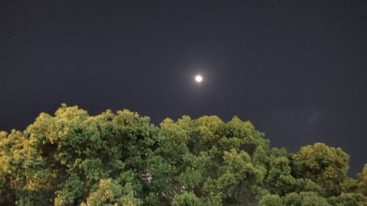 曹政伟:窗外的圆月