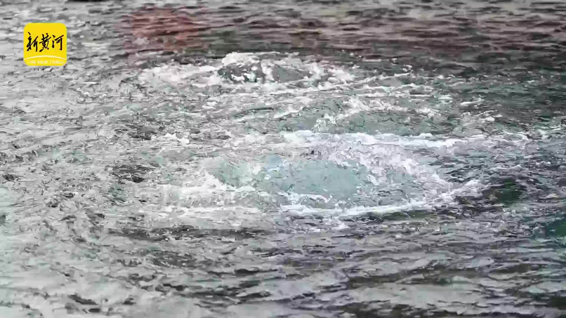 济南：趵突腾空迎佳节