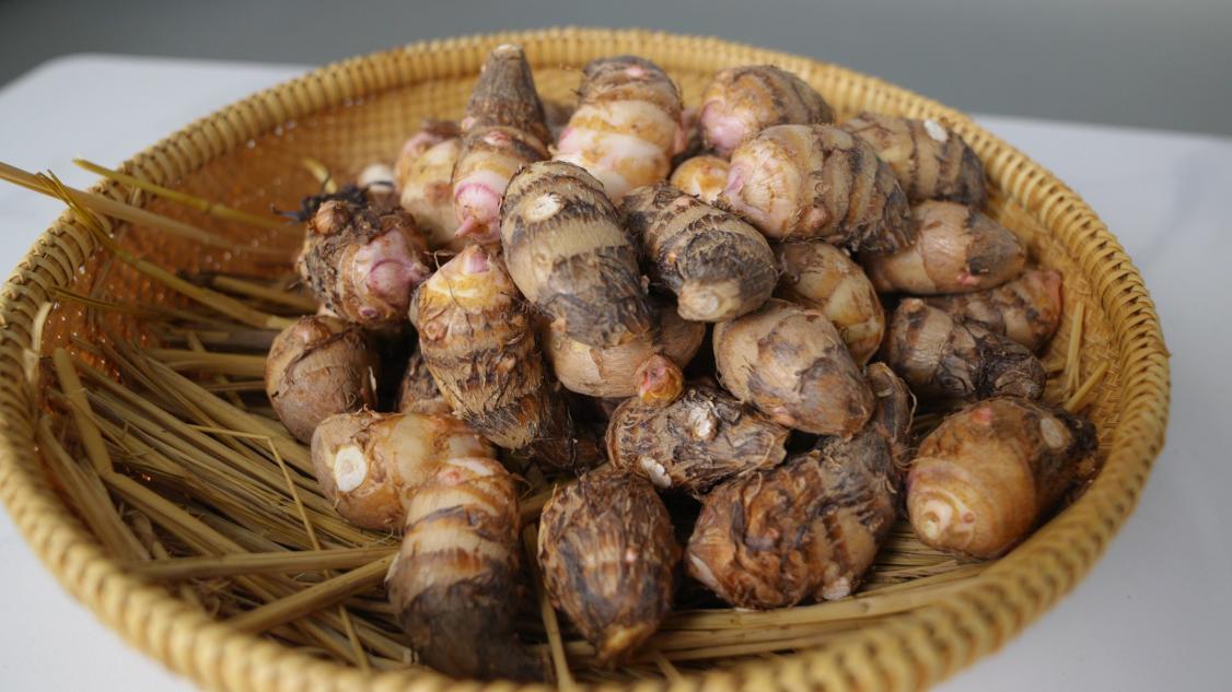 图为靖江香沙芋。