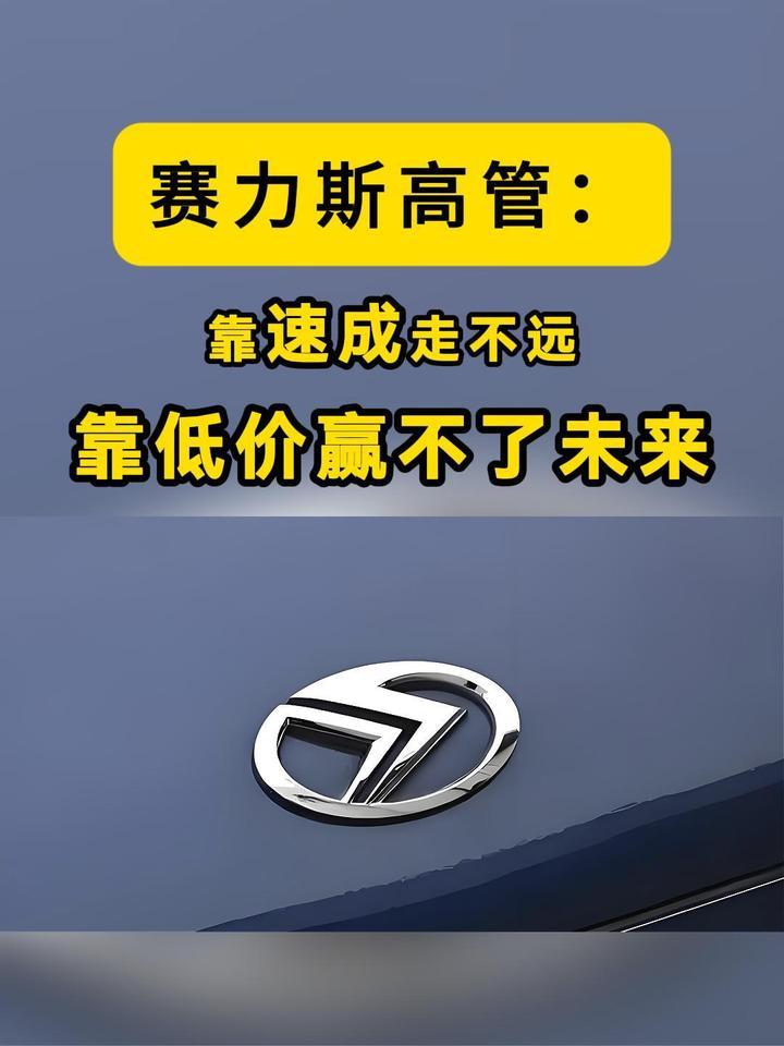 赛力斯高管：汽车产业最大的风险不是慢，而是“速成”