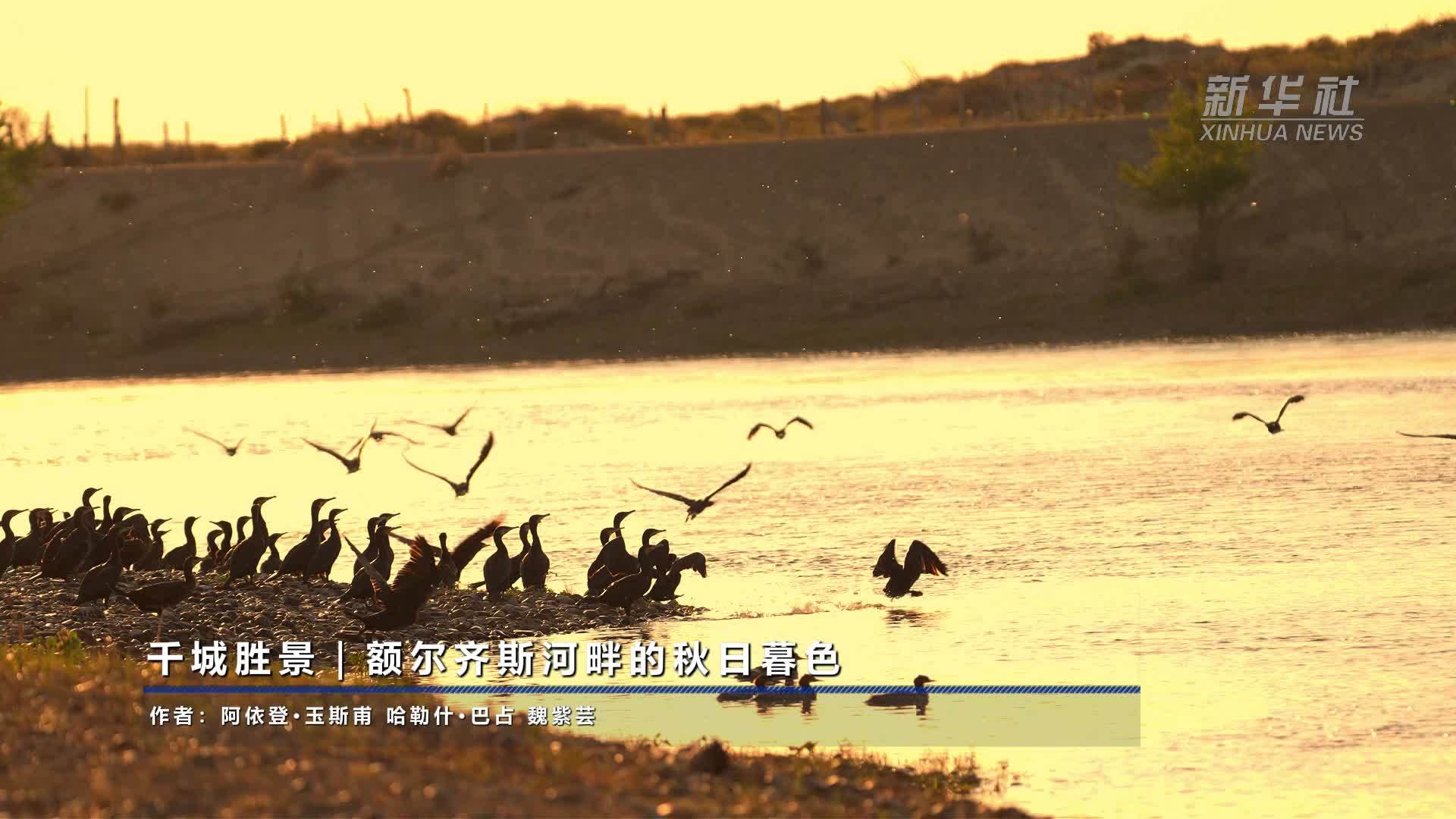 千城胜景｜额尔齐斯河畔的秋日暮色