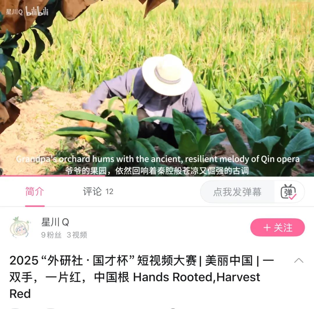 语言+文旅+电商+艺术——西译四大学科群协同赋能文化出海