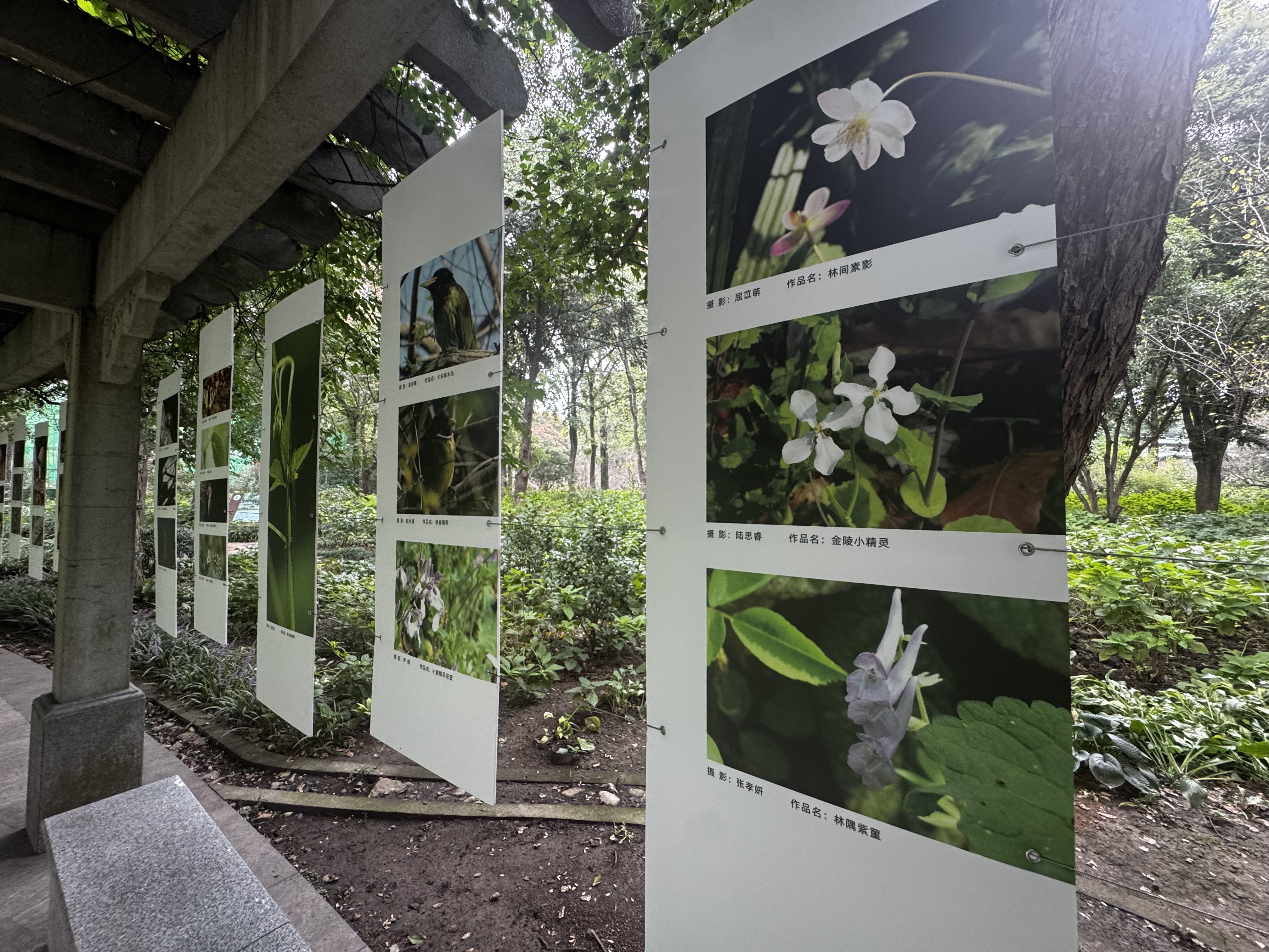 南京中山植物园四大主题展览启幕,共享科学盛宴