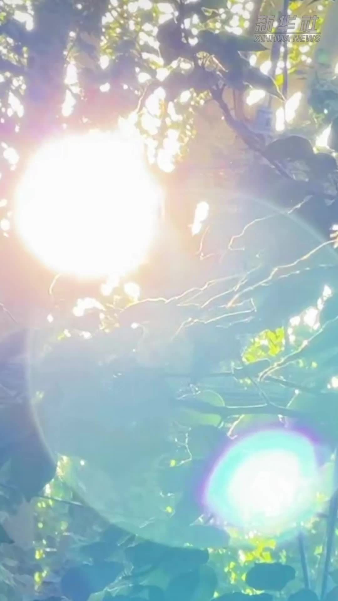 揭秘敦煌｜敦煌壁画里的中秋仪式感