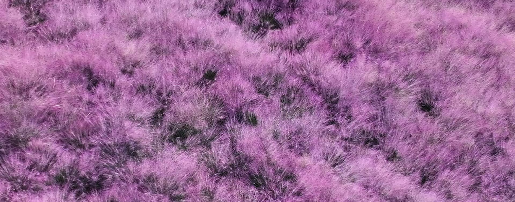 dac4bdae58a492f79a64a618cf2f1b2b.png