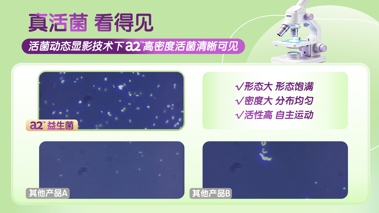 ce95fa10ae2ba9d0ea6550a3bf2cedd2.png