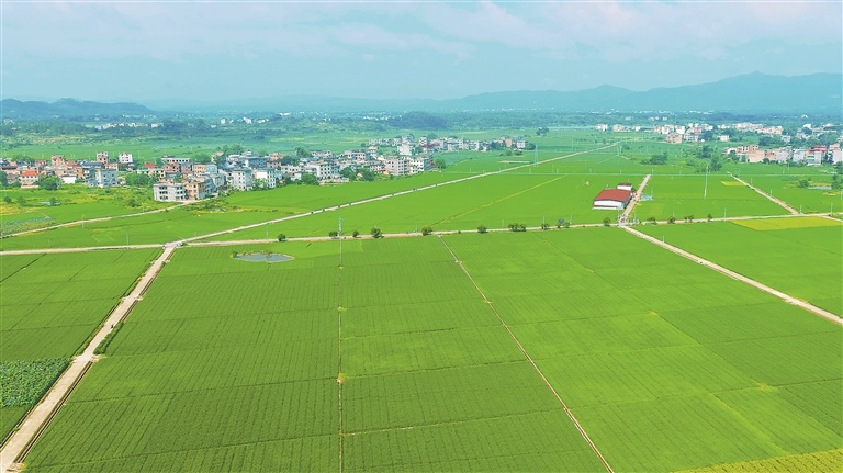 宁都县：好“丰”景（图）
