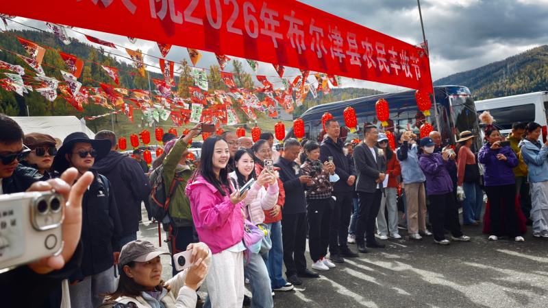 新疆喀纳斯:金秋"羊"味浓 文旅融合迎客来