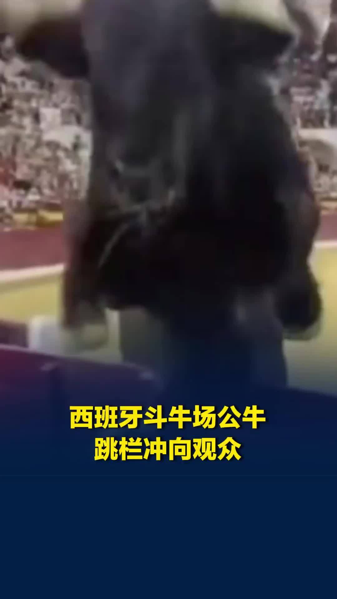 西班牙斗牛场公牛跳栏冲向观众，现场大乱，所幸无人伤亡