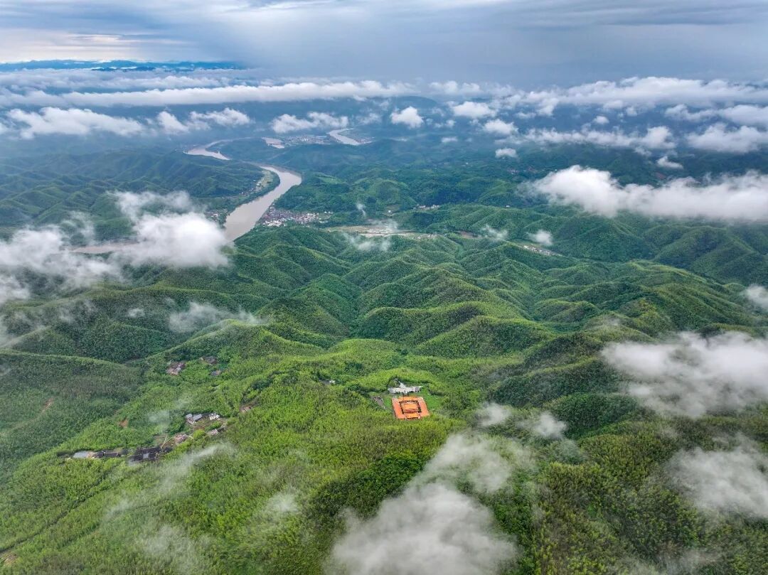 蔡伦竹海旅游区。图/郭立亮
