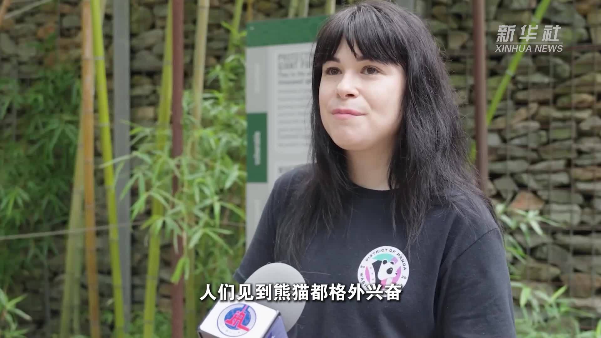 熊猫情缘：中美民间交流的温暖纽带