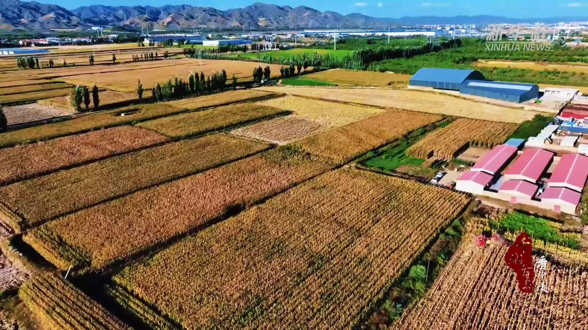千城百县看中国｜内蒙古：丰收盛会绘就乡村盛景