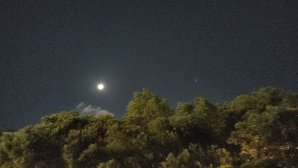 曹政伟:窗外的圆月