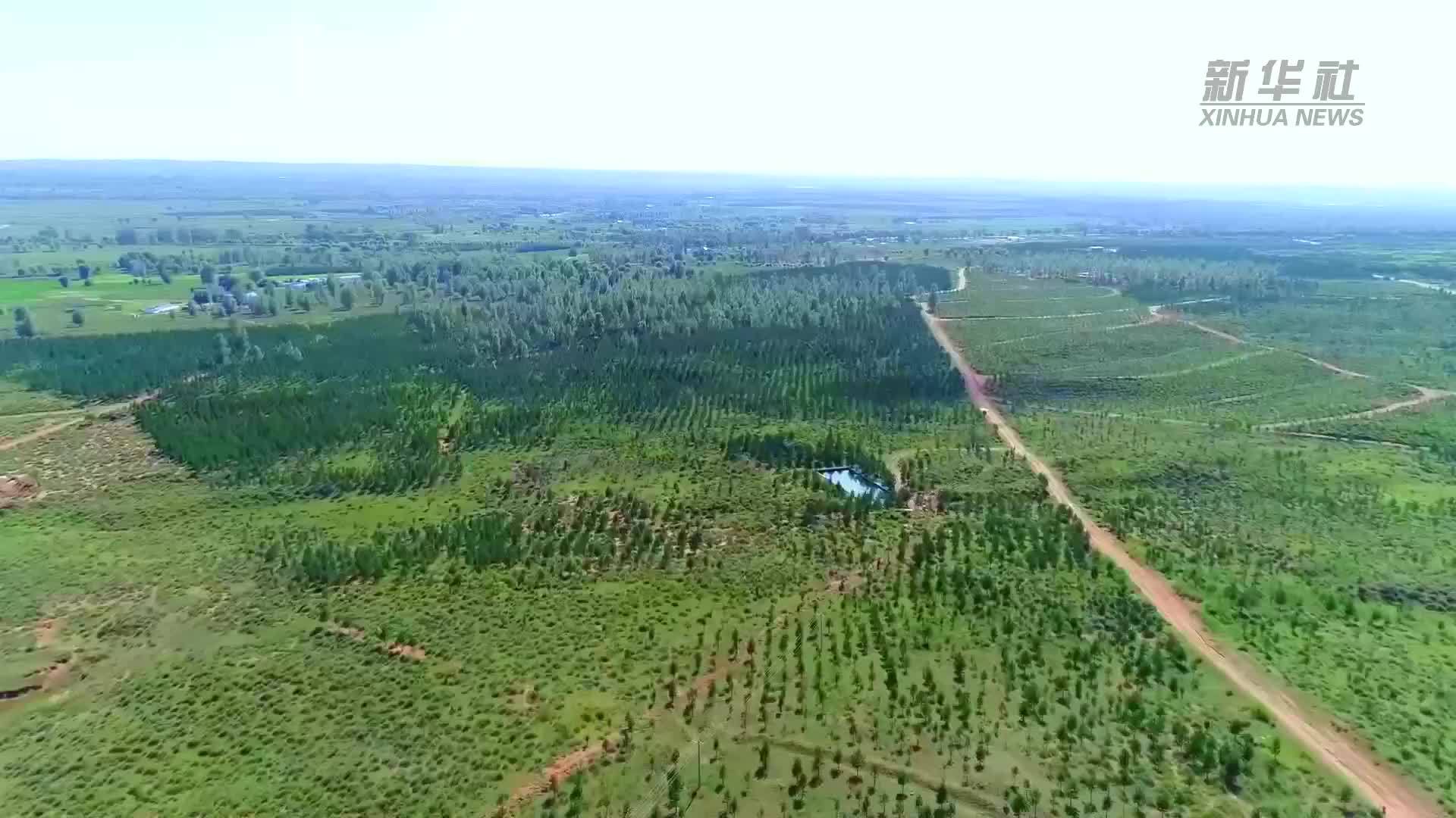 从5000美元到5万棵树，跨越27年的中美友谊