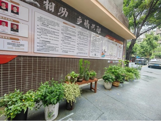 “土味”小区公约——“约”出人居锦绣新风貌