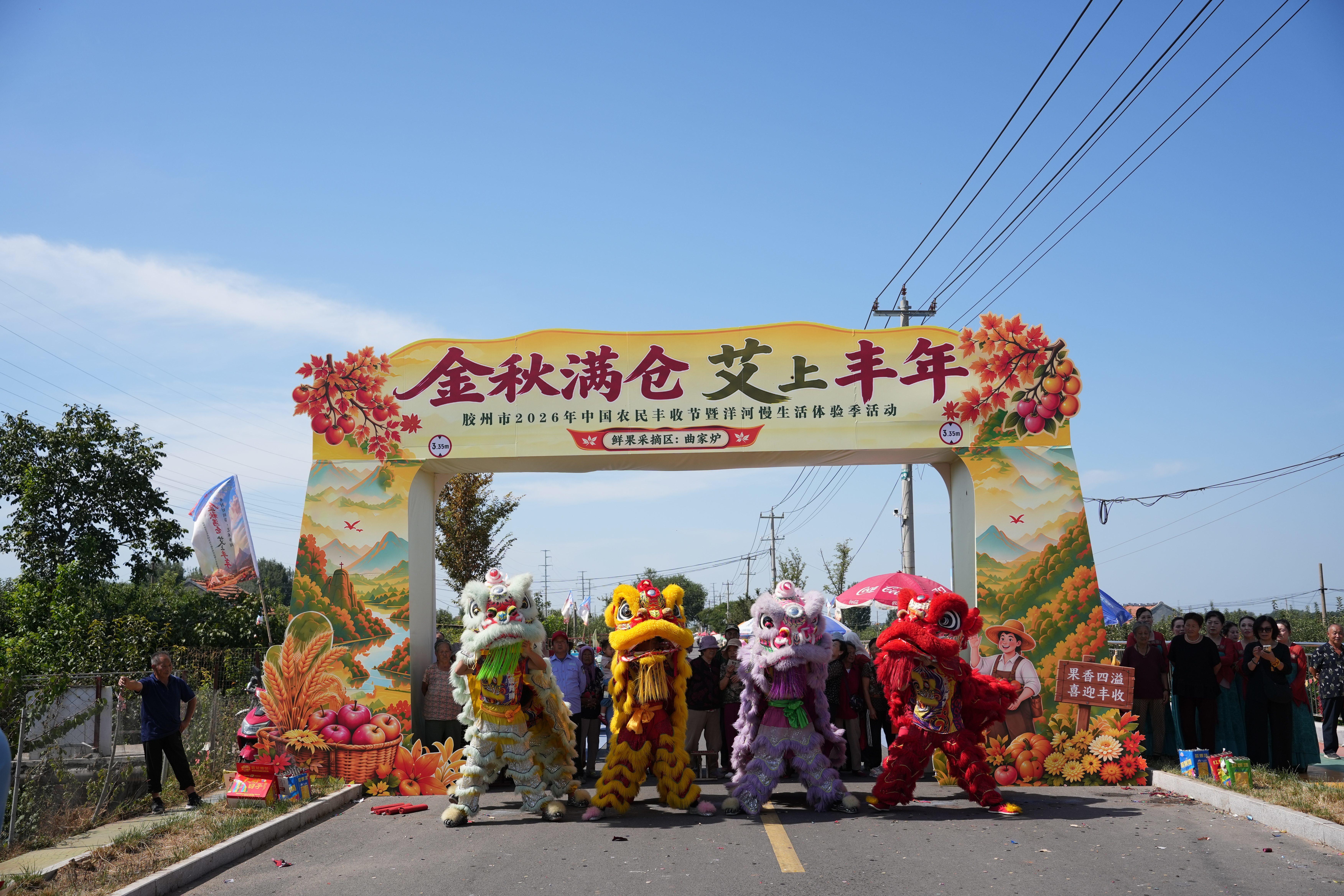 “金秋满仓 艾上丰年”胶州市2026年中国农民丰收节暨洋河慢生活体验季正式启幕