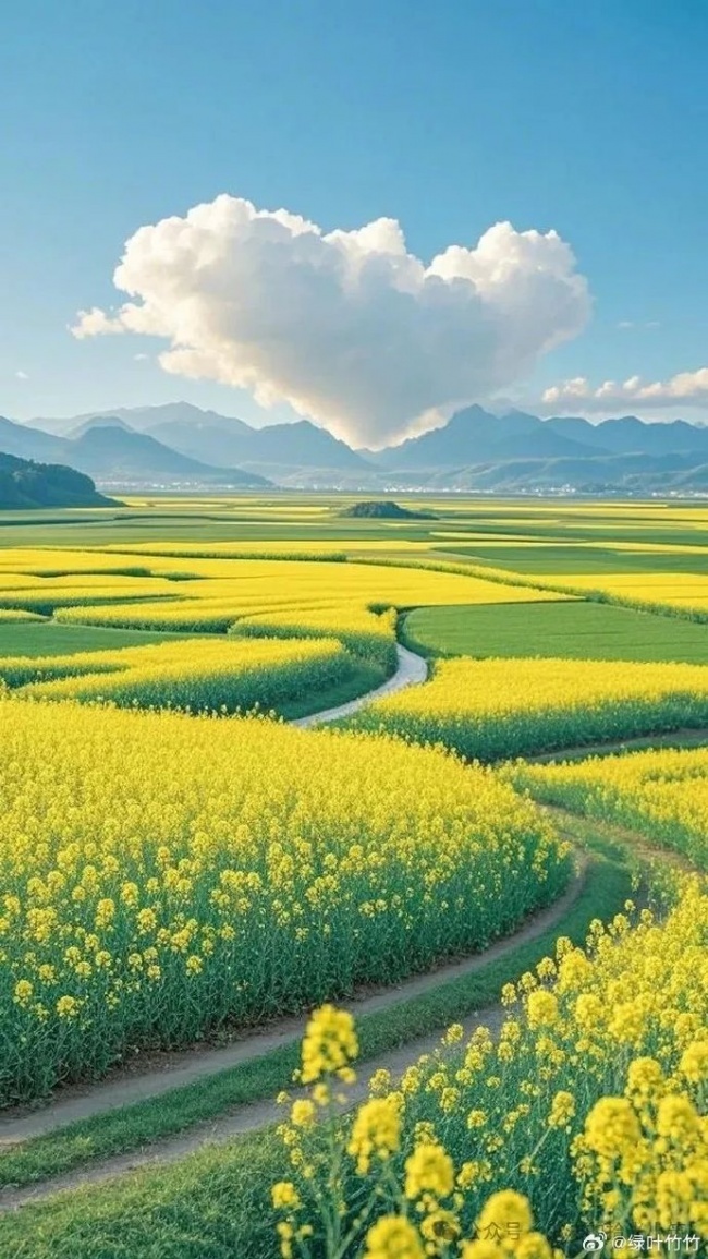 以文化为桥 赴山海之约
