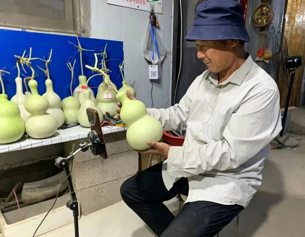 图注：种植户对着手机直播镜头，向网友展示精品葫芦