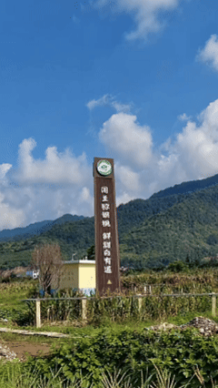 西安岁时记|秋分闻桂 一路“拾”秋