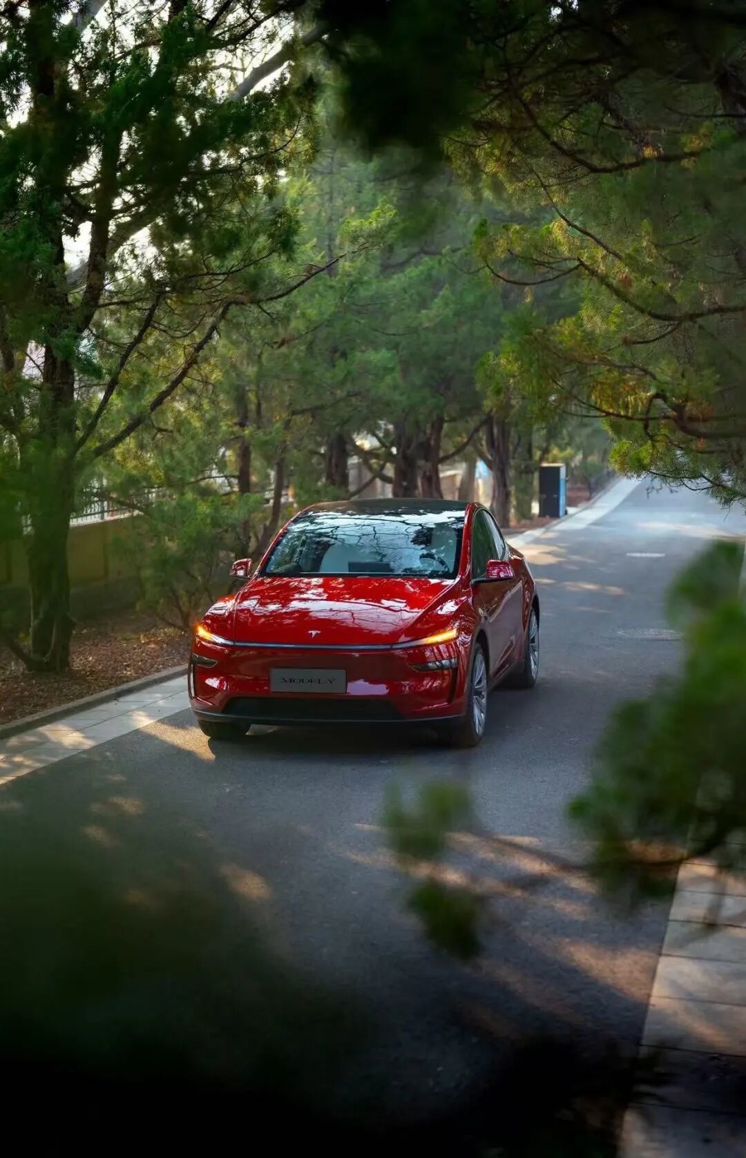 ae89a9ea7ee3258acaaa15c54004bdd.jpg