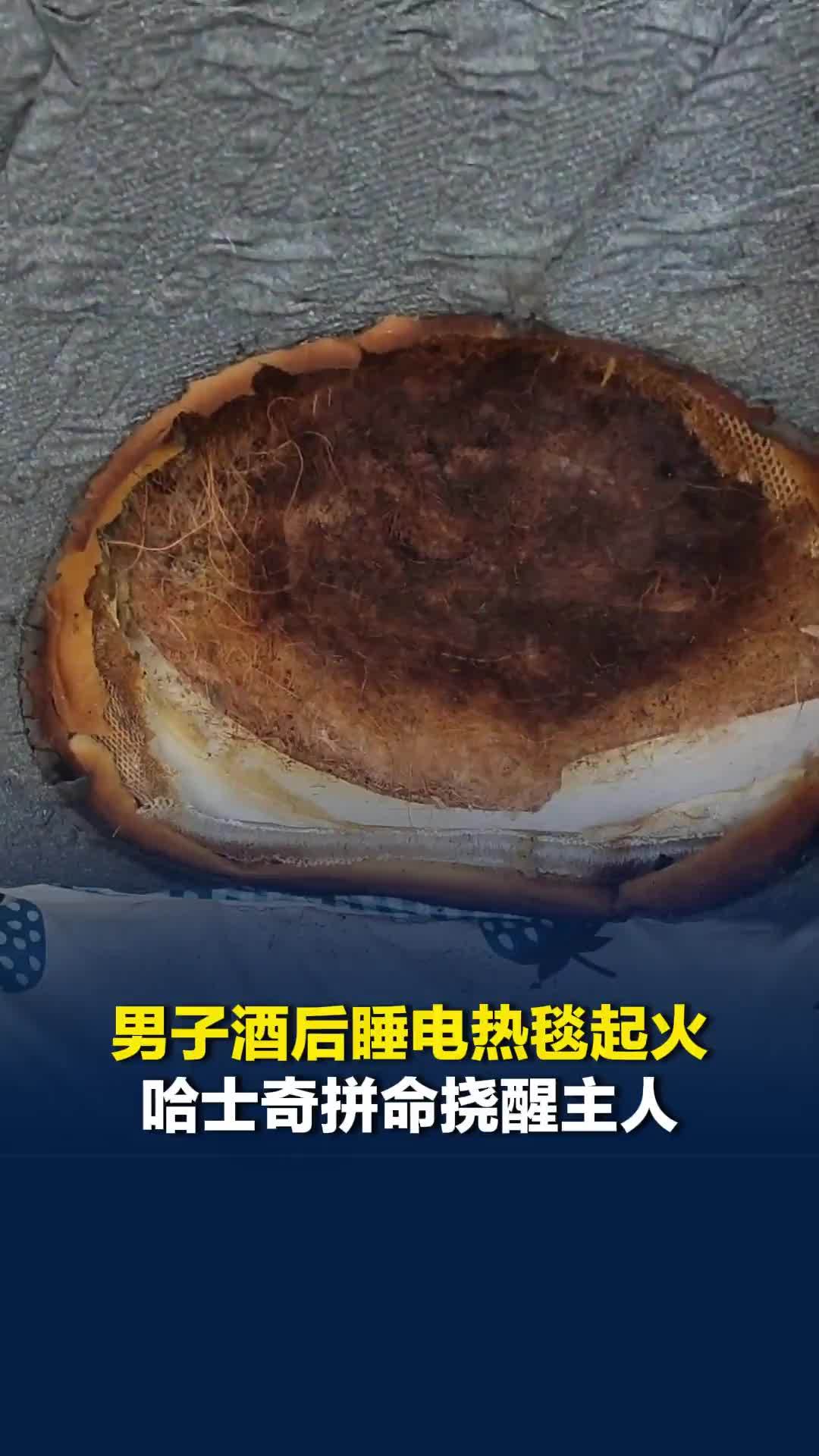 男子酒后睡电热毯起火，养了十年的哈士奇拼命挠醒主人，妻子：床垫烧了个大窟窿