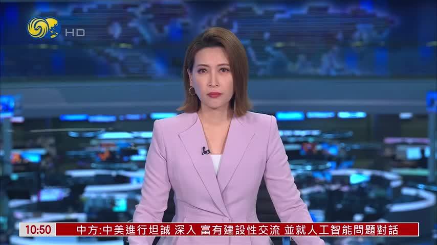 法国多地游行抗议警察用枪新法