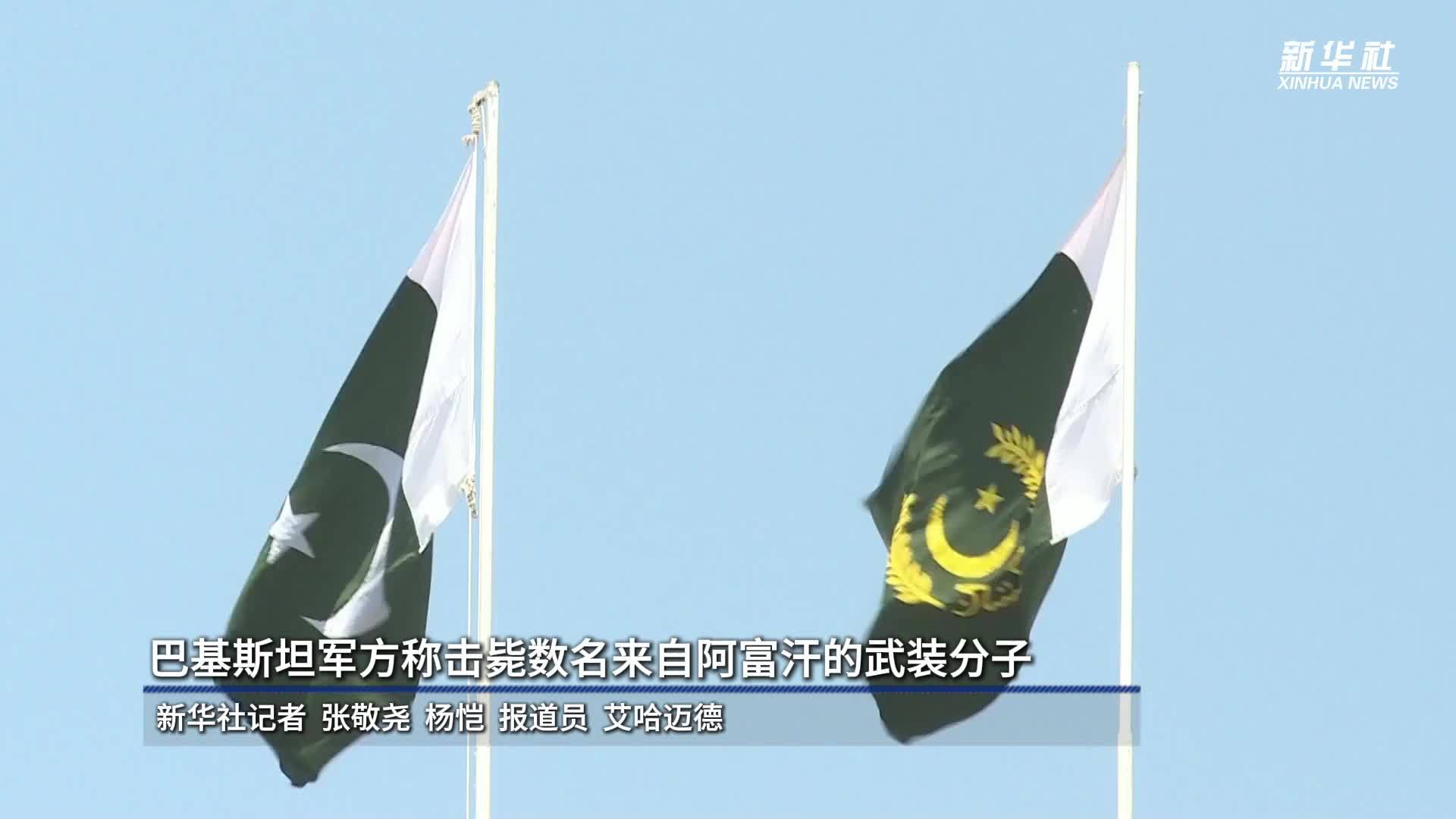 巴基斯坦军方称击毙数名来自阿富汗的武装分子