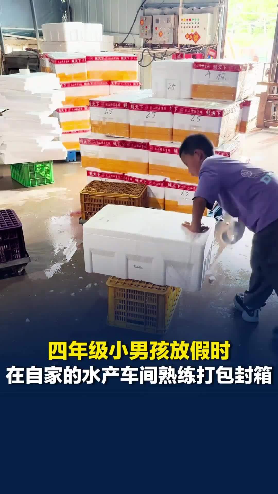 山东乳山一四年级小男孩放假时在自家的水产车间熟练打包封箱，手法十分利落